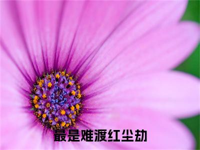 最是难渡红尘劫（沈青杨苏心兰全文在线阅读）-最是难渡红尘劫（沈青杨苏心兰）免费阅读