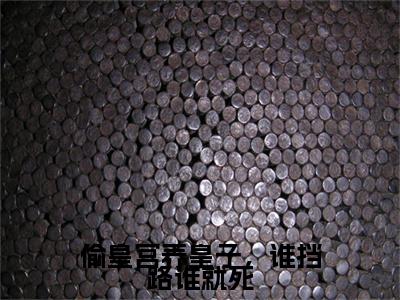 山栀司怀铮（山栀司怀铮）火爆小说全集免费阅读_偷皇宫养皇子，谁挡路谁就死：结局+番外无弹窗最新章节笔趣阁（山栀司怀铮）