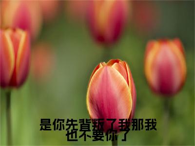 邱乐瑶夏聿白小说免费下载阅读_（是你先背叛了我那我也不要你了）邱乐瑶夏聿白最新章节列表_笔趣阁（是你先背叛了我那我也不要你了）