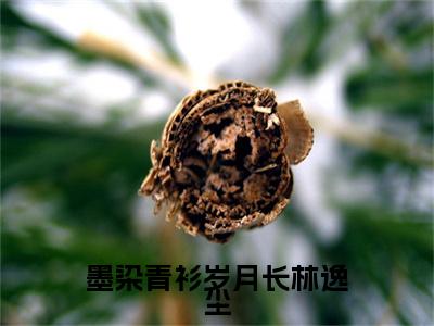 连书意林逸尘（墨染青衫岁月长林逸尘）全文在线阅读无弹窗大结局_墨染青衫岁月长林逸尘全文无弹窗最新章节列表