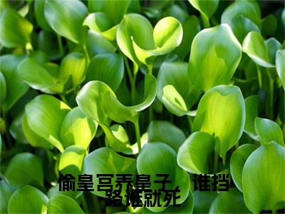偷皇宫养皇子，谁挡路谁就死：结局+番外（山栀司怀铮）完结版全文免费阅读_偷皇宫养皇子，谁挡路谁就死：结局+番外大结局全章节阅读（山栀司怀铮）