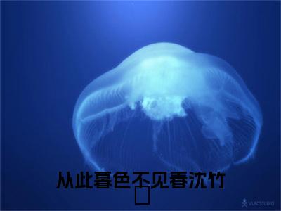 傅彦礼沈竹晞结局+番外（从此暮色不见春沈竹晞）完结阅读无弹窗大结局_(傅彦礼沈竹晞结局+番外)最新章节列表_笔趣阁（从此暮色不见春沈竹晞）