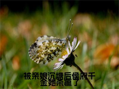 独家被亲娘沉塘后侯府千金她杀疯了无删减(沈涵熙)（被亲娘沉塘后侯府千金她杀疯了）TXT免费版阅读