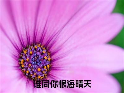 鹿乔微谢知凛(谁同你恨海晴天:结局+番外)全文免费谁同你恨海晴天:结局+番外读无弹窗大结局_(鹿乔微谢知凛谁同你恨海晴天:结局+番外)