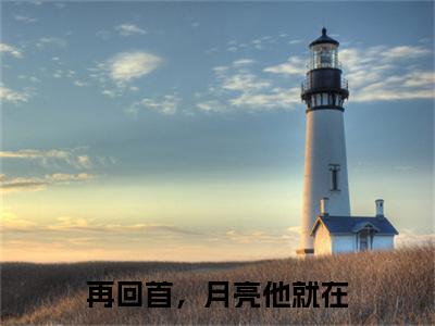 再回首，月亮他就在（安逸朗月行）小说免费阅读无弹窗大结局_（安逸朗月行阅读无弹窗）最新章节列表