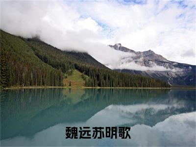 魏远苏明歌（苏明歌魏远）全文免费阅读无弹窗大结局_（魏远苏明歌）苏明歌魏远全文免费完结版阅读