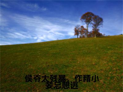 （侯爷太残暴，作精小妾总想逃）徐晓晓林湛霄全文免费阅读无弹窗完整版_徐晓晓林湛霄小说全文免费阅读