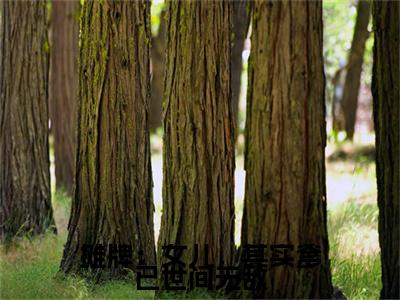 摊牌：女儿，其实爹已世间无敌（苏云前文+后续）全文免费阅读无弹窗大结局_(摊牌：女儿，其实爹已世间无敌苏云前文+后续)最新章节列表_笔趣阁（苏云前文+后续）