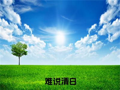 难说清白（赵启宁贺显）全文免费阅读无弹窗无删减_小说（难说清白）赵启宁贺显最新章节列表笔趣阁