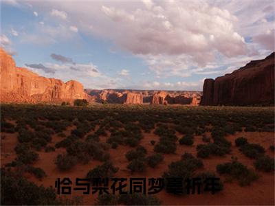 辜祈年（恰与梨花同梦辜祈年）完整版小说阅读_恰与梨花同梦辜祈年全文免费阅读笔趣阁（辜祈年）