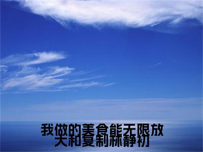 (番外)+(全文)我做的美食能无限放大和复制林静初：番外+全文+后续（林静初）完整版小说阅读_我做的美食能无限放大和复制林静初：番外+全文+后续免费阅读_笔趣阁（林静初）