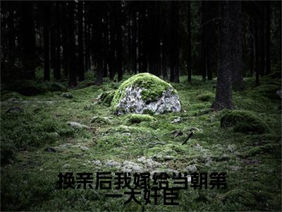 换亲后我嫁给当朝第一大奸臣在线阅读（苏清绾晏明绝）全文免费阅读无弹窗大结局_苏清绾晏明绝最新章节列表笔趣阁（换亲后我嫁给当朝第一大奸臣）
