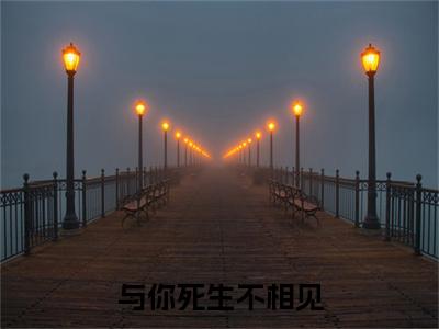 (番外)+(全文)江铭心陆晟泽与你死生不相见：全文+后续+结局（与你死生不相见）全文免费阅读无弹窗大结局_江铭心陆晟泽：全文+后续+结局最新章节列表_笔趣阁（江铭心陆晟泽与你死生不相见：全文+后续+结局）