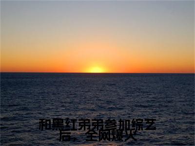 和黑红弟弟参加综艺后，全网爆火（陆林晚）小说免费下载全本-和黑红弟弟参加综艺后，全网爆火（陆林晚完整版）免费阅读大结局