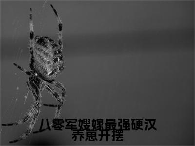 楚幺许战小说（八零军嫂嫁最强硬汉养崽开摆）起点章节+全篇阅读热门作品预订