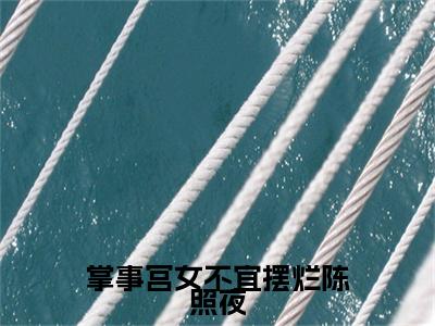 小说掌事宫女不宜摆烂陈照夜（陈照夜小说免费阅读）完结阅读_掌事宫女不宜摆烂陈照夜全文免费阅读最新章节大结局