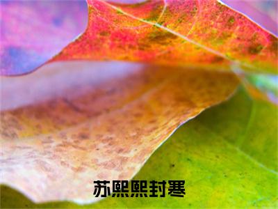 苏熙熙封寒小说(苏熙熙封寒)全文+后续（苏熙熙封寒）无套路阅读