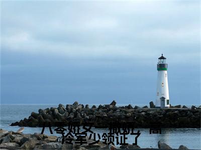 八零娇女一撒娇，高冷军少领证了（苏婉霍枭寒）全文免费阅读无弹窗大结局_（苏婉霍枭寒）全文阅读_笔趣阁（八零娇女一撒娇，高冷军少领证了）