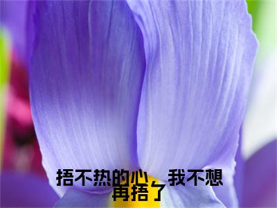 捂不热的心，我不想再捂了最新章节（姜屿月闻聿风）全文免费阅读无弹窗大结局_姜屿月闻聿风免费阅读