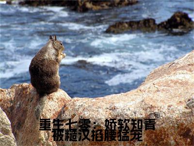 顾南枝叶瑾（重生七零：娇软知青被糙汉掐腰猛宠顾南枝叶瑾：结局+番外）全文阅读无弹窗结局_(顾南枝叶瑾重生七零：娇软知青被糙汉掐腰猛宠：结局+番外阅读全文结局)结局章节列表_笔趣阁（顾南枝叶瑾）