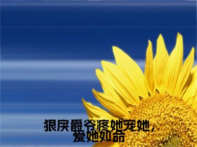 热文推荐司霆爵颜安狠戾爵爷疼她宠她，爱她如命小说大结局（狠戾爵爷疼她宠她，爱她如命）书荒必看列表