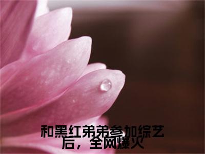 和黑红弟弟参加综艺后，全网爆火小说最新章节（陆林晚）全文免费阅读无弹窗大结局_陆林晚免费阅读（和黑红弟弟参加综艺后，全网爆火小说）