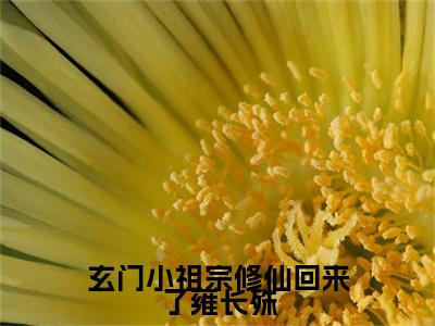 玄门小祖宗修仙回来了雍长殊元酒雍长殊小说全文免费阅读无弹窗大结局_（元酒雍长殊）最新章节列表笔趣阁