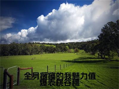 全身瘫痪的我魅力值爆表桃谷穗（李知云桃谷穗小说）全文免费阅读无弹窗大结局_（李知云桃谷穗）小说最新章节列表