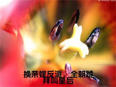 江玖（换亲嫁反派，全朝跪拜叫皇后）完整全文在线阅读_换亲嫁反派，全朝跪拜叫皇后小说全章节目录阅读（江玖）