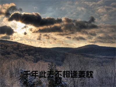 热文推荐千年此去不相逢姜枕意附加(盛驰序姜枕意)（千年此去不相逢姜枕意）最新章节列表