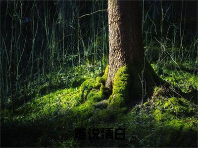 赵启宁贺显（难说清白）免费全文阅读小说_（赵启宁贺显）难说清白最新章节列表