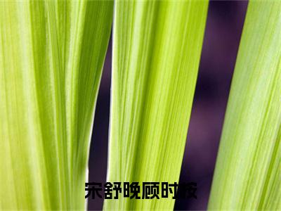 宋舒晚顾时桉：全文+结局+番外（宋舒晚顾时桉）全文免费阅读无弹窗大结局_(宋舒晚顾时桉：全文+结局+番外)最新章节列表_笔趣阁（宋舒晚顾时桉）