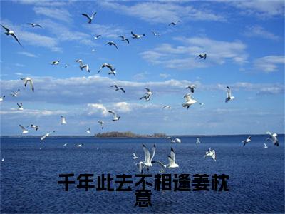 盛驰序姜枕意（千年此去不相逢姜枕意）全文免费阅读无弹窗大结局_（盛驰序姜枕意阅读无弹窗）千年此去不相逢姜枕意最新章节列表