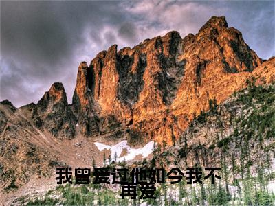 楚温宁崔泽白小说(我曾爱过他如今我不再爱)章节目录+起始篇章（楚温宁崔泽白）全章无套路在线