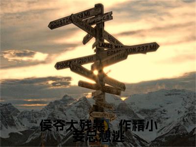 徐晓晓林湛霄（侯爷太残暴，作精小妾总想逃）全文免费阅读无弹窗完整版，（徐晓晓林湛霄）免费阅读全文最新章节列表_笔趣阁