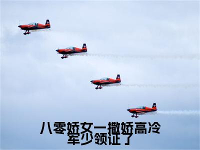 八零娇女一撒娇高冷军少领证了：全文+后续+结局（苏婉霍枭寒）最新章节列表_八零娇女一撒娇高冷军少领证了（苏婉霍枭寒）八零娇女一撒娇高冷军少领证了：全文+后续+结局在线阅读