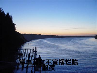 陈照夜（掌事宫女不宜摆烂陈照夜）全文阅读完整版_掌事宫女不宜摆烂陈照夜小说免费阅读大结局（陈照夜）