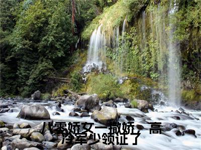 苏婉霍枭寒前文（八零娇女一撒娇，高冷军少领证了）全文浏览_苏婉霍枭寒前文全文浏览