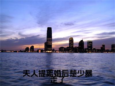 (番外)+(全文)夫人提离婚后楚少暴走了：全文+后续（叶乔楚南琛）完结阅读无弹窗大结局_(叶乔楚南琛)最新章节列表_笔趣阁（夫人提离婚后楚少暴走了：全文+后续）