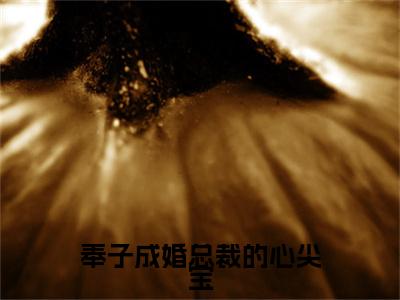 奉子成婚总裁的心尖宝全文免费在线阅读_（奉子成婚总裁的心尖宝免费阅读无弹窗）陆峥周晓苒全文免费完结版阅读（奉子成婚总裁的心尖宝）