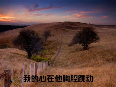 我的心在他胸腔跳动（夏南絮江宴修）全文免费阅读无弹窗大结局_夏南絮江宴修最新章节列表