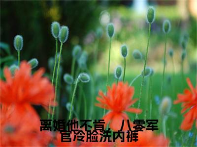 顾淮江晚意（离婚他不肯，八零军官冷脸洗内裤：结局+番外）全文免费阅读无弹窗大结局_(顾淮江晚意)最新章节列表_笔趣阁（离婚他不肯，八零军官冷脸洗内裤：结局+番外）