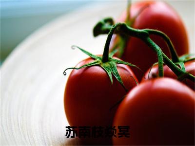 苏南枝焱冥：全文+后续（焱冥苏南枝）终章阅读全文无删减_苏南枝焱冥：全文+后续全文免费阅读无弹窗大结局（焱冥苏南枝）