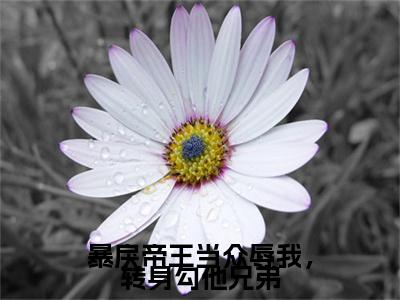 (番外)+(全文)暴戾帝王当众辱我，转身勾他兄弟君烬渊楚婳祎：结局+番外(君烬渊楚婳祎)全文免费阅读无弹窗大结局_(暴戾帝王当众辱我，转身勾他兄弟君烬渊楚婳祎：结局+番外)最新章节列表_笔趣阁(君烬渊楚婳祎)