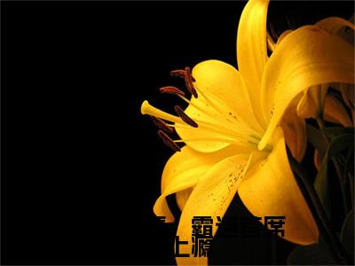 豪门惊情，霸道首席缠上瘾上官若昀叶紫菀后续（上官若昀叶紫菀）全文在线下载在线+纯净版结局