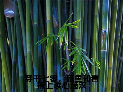 陆正清姜楠（穿书七零，咸鱼知青撩上读心糙汉：结局+番外）完结阅读无弹窗大结局_(陆正清姜楠)最新章节列表_笔趣阁（穿书七零，咸鱼知青撩上读心糙汉：结局+番外）