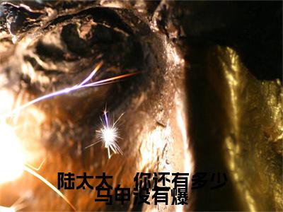 乔鸢陆衍霆陆太太，你还有多少马甲没有爆后续（陆太太，你还有多少马甲没有爆）全文在线下载在线+纯净版结局