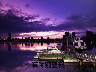 赵莫羡沈白（有种别娶我：结局+番外）全文免费阅读无弹窗大结局_赵莫羡沈白最新章节列表_笔趣阁（有种别娶我：结局+番外）