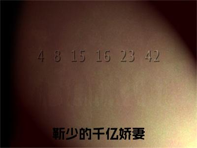 靳伯然萧雨晴免费最新章节列表_靳伯然萧雨晴免费全文免费阅读(靳少的千亿娇妻)
