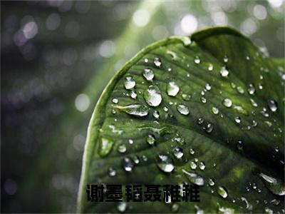 谢墨韬聂稚稚聂稚稚谢墨韬小说无删减阅读清爽版（聂稚稚谢墨韬）外篇+续集